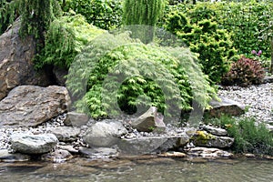 Water garden