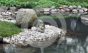 Water garden as a living part of the garden