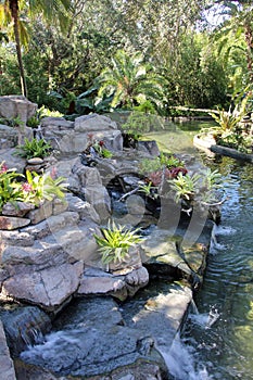 Water Garden at Bush Gardens