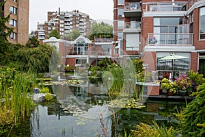 Water garden at housing complex, Victoria, Canada