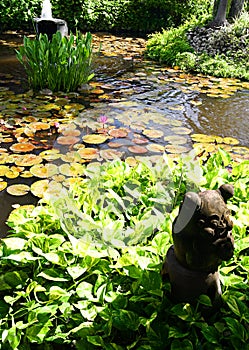 Water garden with stone decor piece