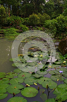 Water Garden in Taipei, Republic of China