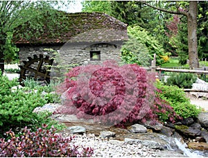 Water garden and water mill