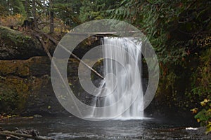 Water gently flows over the cliff: Upper North Falls at Silver Falls Park, OR