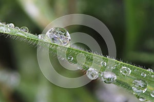 Water on grass