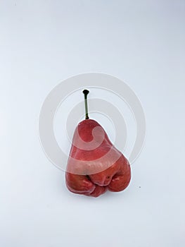 water guava or chomphu isolated on a white background. rose guava isolated