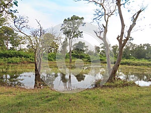 Water hole in Bandipur photo