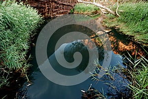 Water hole in Canyon