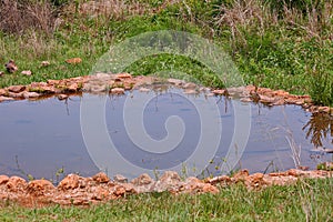 WATER HOLE IN A GAME RESEVE WITH STONE EDGING