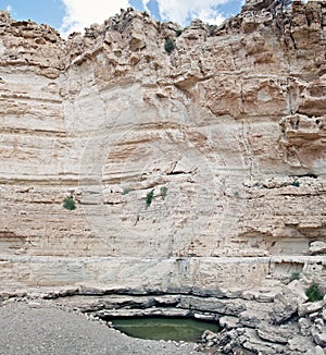 Water hole in Judaean Desert, israel