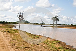 Water hole, South Africa