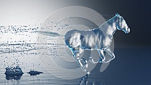 Water horse gallops through the water with splashes, slow motion