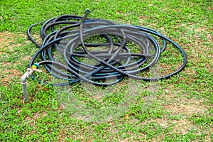 Water hose green grass wet. lawn nature