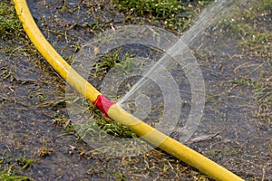 Water hose has sprung photo