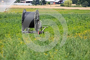 Water hose reel set in the field. Field irrigation system during drought.