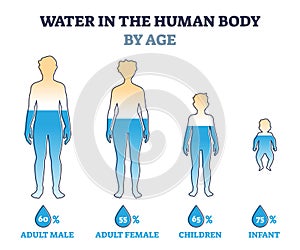 Water in human body by age as percentage comparison in outline diagram