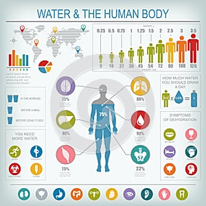 Water and human body infographic