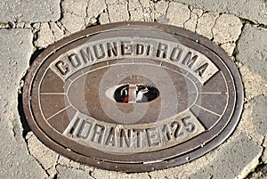 Water Hydrant Cover Plate