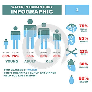 Water in Hyman body Infographic. Vector