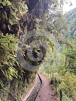 Water irrigation channel, levada in Madeira. Levada do Rei