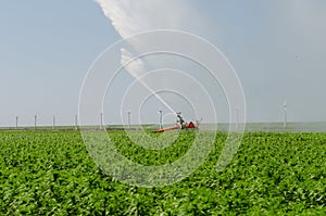 Water irrigation on Farmland Flevoland photo