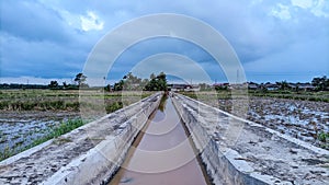 Agua irrigación sistema de campo 