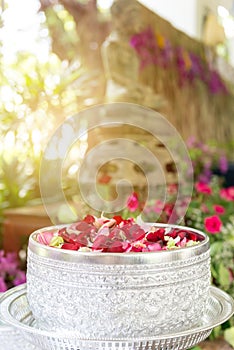 Water with jasmine and roses corolla in bowl for Songkran festival