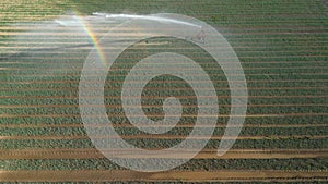 Water jet of irrigation is atomized as mist on a field and shows a rainbow
