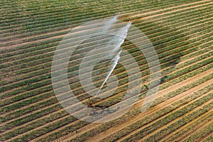 Water jet in wind as aerial view