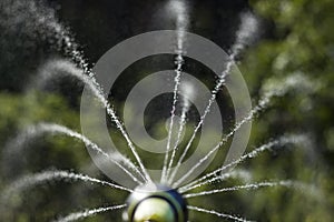 Water jets leaving the tip from the garden hose.