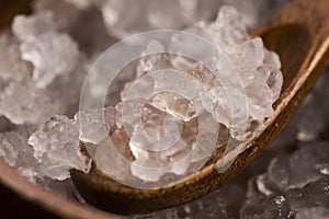 Water kefir grains photo