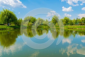 Water lake reflection of green willow trees