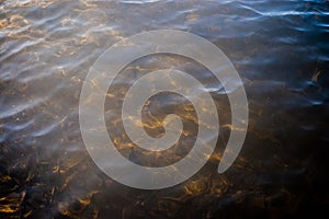 Water, lake, wave, background. River water texture