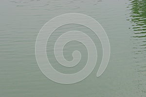 water, lake, wave, background. River water texture. glare and reflective surface water in river