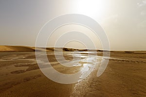 water landscape in the dunes of the Sahara Desert