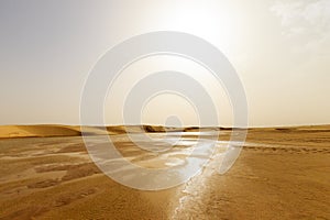 water landscape in the dunes of the Sahara Desert
