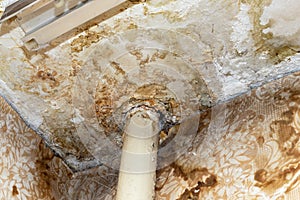Water leak on white ceiling, insurance accident because of neglect disorderly careless neighbours