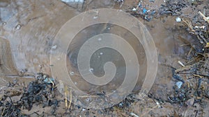 Water leakage and flowing water in wastage in a field. The little water on ground closeup