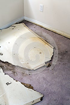 Water leaking damaged plasterboard and carpet