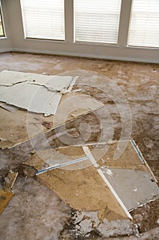 Water leaking damaged plasterboard and carpet