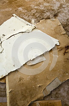 Water leaking damaged plasterboard and carpet