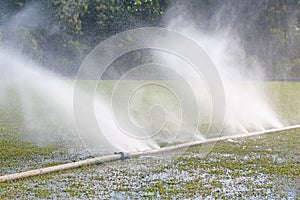 Water leaking from hole in a hose