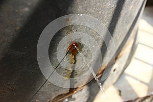 Water leaking from water tub