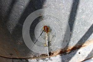 Water leaking from water tub