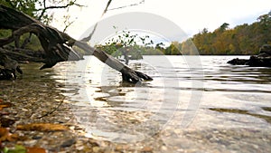 Water level clip of lake surrounded by trees in Autumn or Fall