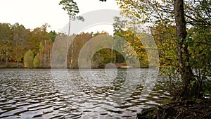 Water level clip of lake surrounded by trees in Autumn or Fall