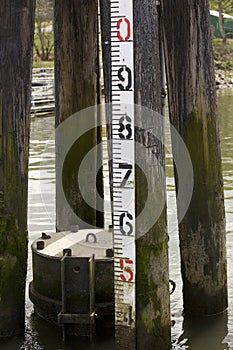 Water level indicator