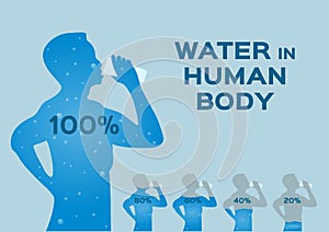 Water level level,in the human body vector / infographic