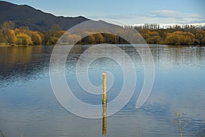 Water level measuring pole The background is mountains and trees in the fall of a lake in rural South Island