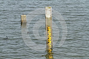 Water level pole